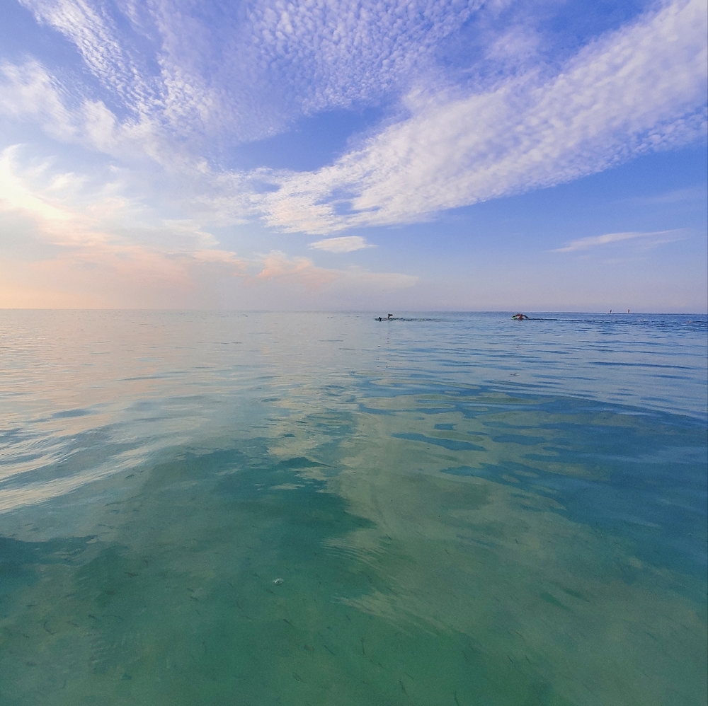 Meet your Posher, Melania